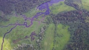 Вот такое лето! Река Вейна и Озернинское водохранилище. hubsan h501s pro.