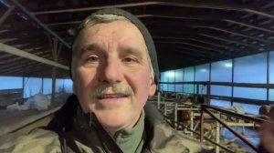Молочное животноводство как бизнес или как выживание