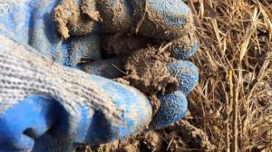 ОТКОПАЛ НА СТАРОЙ ДОРОГЕ - МЕНЯ АЖ ЗАТРЯСЛО!!!