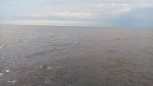 Липин бор.Белое озеро.