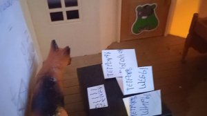 шира шеба и тигон пошли в школу (3 серия)