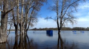 Пик разлива на реке Клязьма около города Вязники