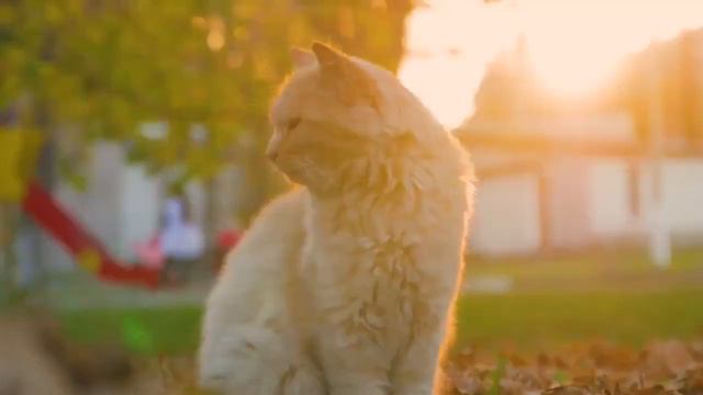 Только одна мать не знала про золотого ребенка,который в комнате ел плесневелый хлеб-Истории №99 смотреть онлайн