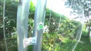 Стикербомбинг по Москве Mix of moment