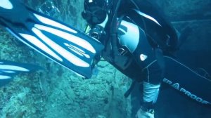 Дайвинг на Красном море. Diving in the Red Sea