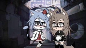 💖🐸~meme  ~ пусть все будет как решит монолог твоей души ~💖🐸