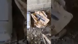 Отзыв покупателя о штукатурной станции STIZO ZTS-2 (220v) с Японским преобразователем частоты
