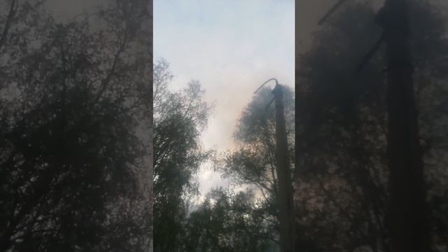 День пограничники! смотреть онлайн