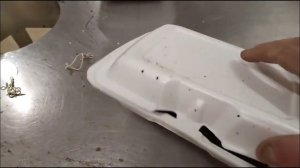 Малек улитки. Уже видно наши селекционные работы.