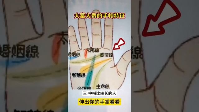 大富大貴的手相特徵 伸出你的手掌來看看#風水師傅 #風水 #國學 #易經 #八字 #命理 #熱門