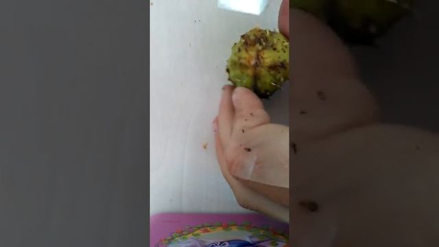 Blog : Осень ! "Каштаны"^_^ смотреть онлайн