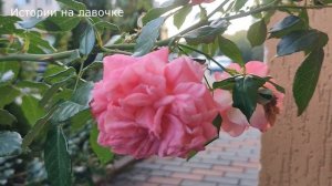 ? Подлая сестра ради квартиры и наследства сделала такое, что теперь я ее ни видеть ни знать не хоч