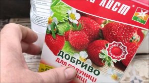 Чем подкормить клубнику во время цветения.