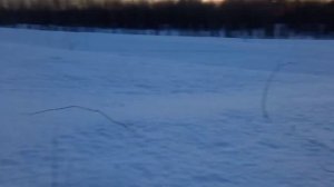 Лыжи Fischer LS, 23год.Коньковый ход-рельефная трасса. ☺??