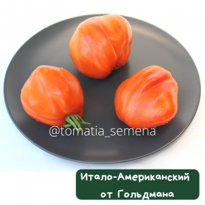 Итало-американский от Гольдмана