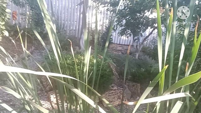 Лето завершается...осень начинается. смотреть онлайн