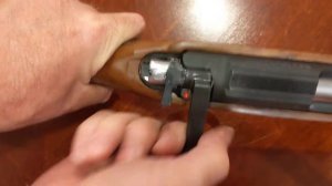 Hatsan Escort 22 Trigger Issues