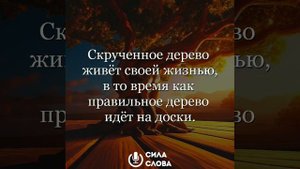 #Цитаты и афоризмы.