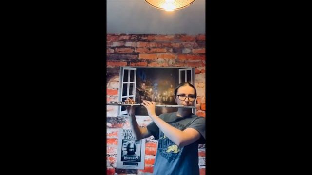 LCpl Mia Heffernan playing Hedwigs Theme from Harry Potter смотреть онлайн