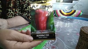 Посадка перца" Воловье ухо" .