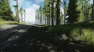 Выход Восточные Ворота Лес (Выход за ДИКИХ) | Escape from Tarkov
