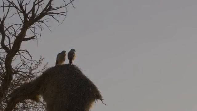 Красивая фортепианная музыка: расслабляющая музыка, музыка для сна, учебная музыка смотреть онлайн