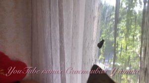 ГОСТЬЯ // КАК ПОЙМАТЬ И ВЫПУСТИТЬ БАБОЧКУ