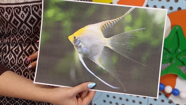 Набор «Подводный мир». Мастер-класс по развитию речи смотреть онлайн