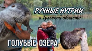 Ручные нутрии и голубые озёра в Тульской области?