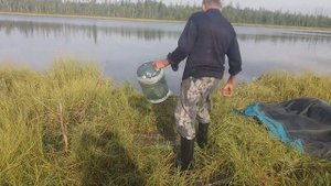 Корчаги из пластиковой бутылки