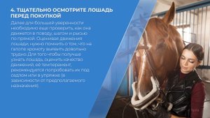 Курс обучения «Коневодство» - 7 секретов успешной покупки лошади