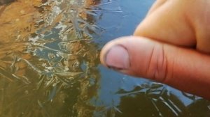 Слив воды 28.09.22.mp4