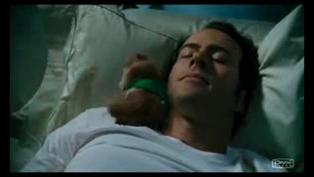 Элвин и бурундуки смотреть онлайн