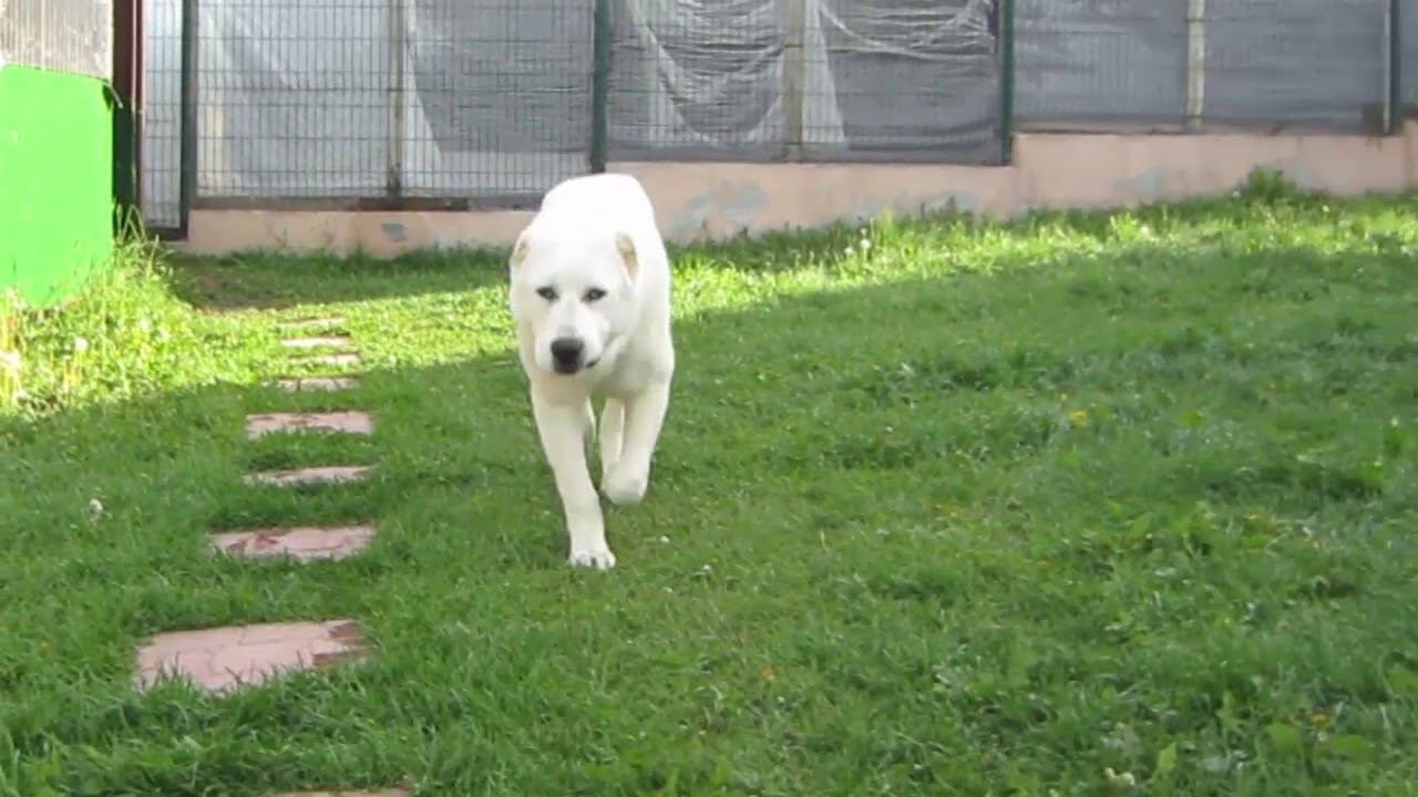 май смотреть онлайн