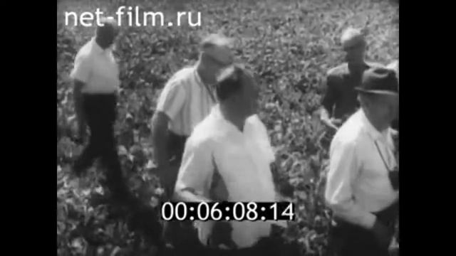 1965г. станица Кореновская колхоз имени Ленина Кореновский район Краснодарский край
