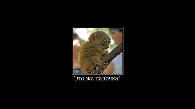 Смешные картинки с прикольными надписями. Ржач!!!