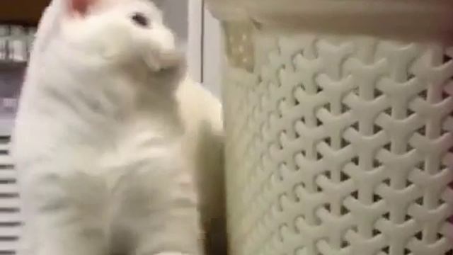 Довыеживался ?