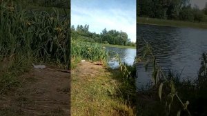 Нефедьево. Река.Смотрите кого мы встретили!!!!