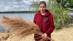 Круглая арка с пампасной травой (кортадерия)