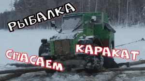 РЫБАЛКА в ближайшем заливе. СПАСАЕМ КАРАКАТ.mp4