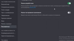 режим разработчика в дискорде