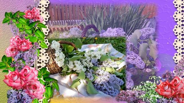 СИРЕНЕВЫЙ НАТЮРМОРТ (lilac flowers)