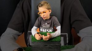 ЖУК СКАРАБЕЙ В ДОМАШНИХ УСЛОВИЯХ