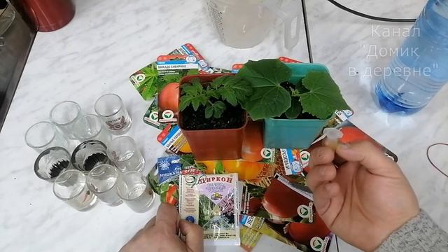 Циркон - Помощник для получения БОГАТЫХ УРОЖАЕВ! Как правильно развести Циркон. смотреть онлайн