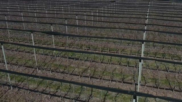 Столбы предварительно напряженные. Столбы для сада Столбы для ограждения. Столбы виноградные смотреть онлайн