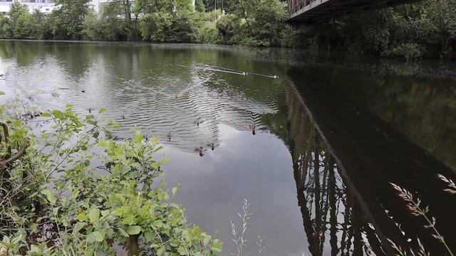 Canon m50 mark 2 смотреть онлайн