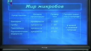 Микробиология. Лекция 2. Что объединяет микроорганизмы в одну группу? Разнообразие микробов