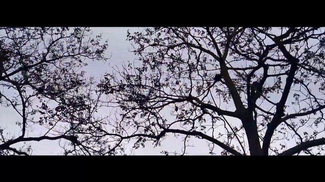 Мария Богатырь. Маленький путешественник в Paris. смотреть онлайн