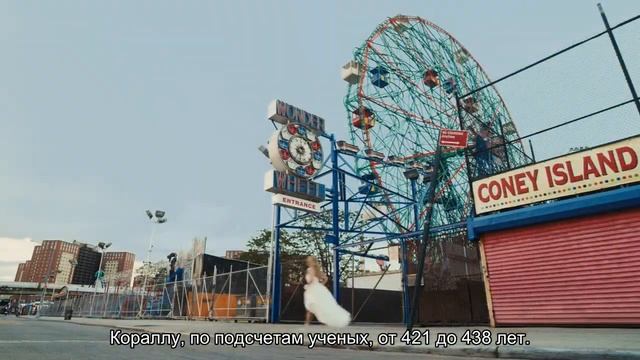 В Австралии обнаружен самый широкий коралл Большого Барьерного рифа. Ему более 400 лет смотреть онлайн