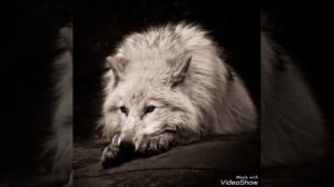 У меня у меня сердце пылает горит для тебя да просто сгорает